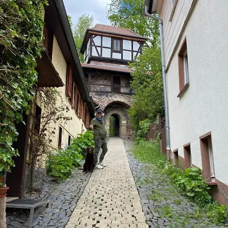 Relax In Homberg Ot By Interhome Apartment *