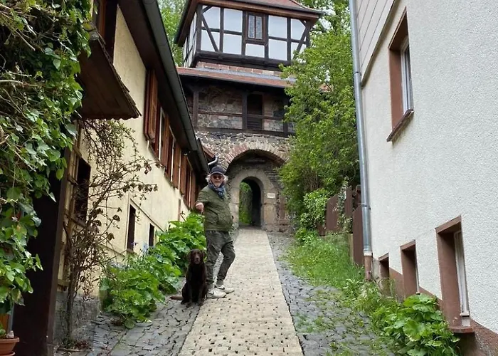 Relax In Homberg Ot By Interhome Apartamento *